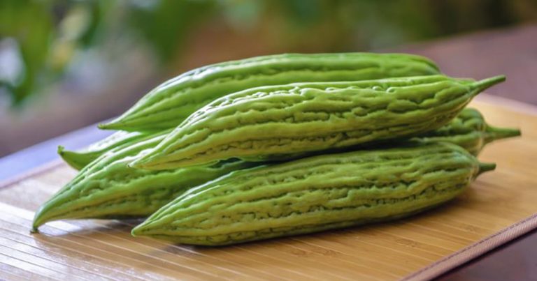 L’AMPALAYA: NUTRE E CURA